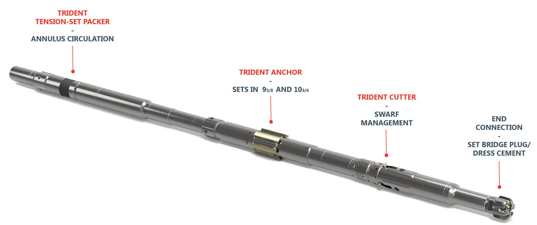 ardyne-the-trident-system